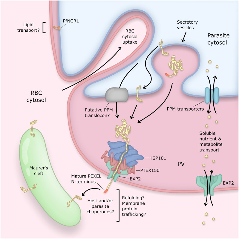 Fig 4