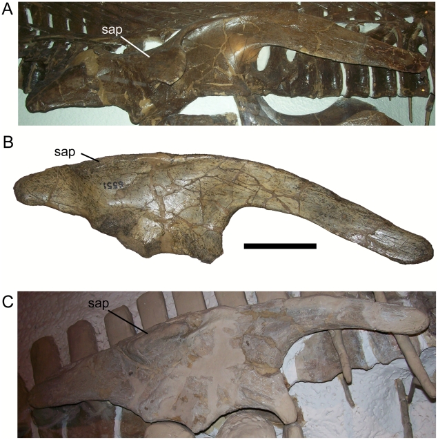 Figure 17