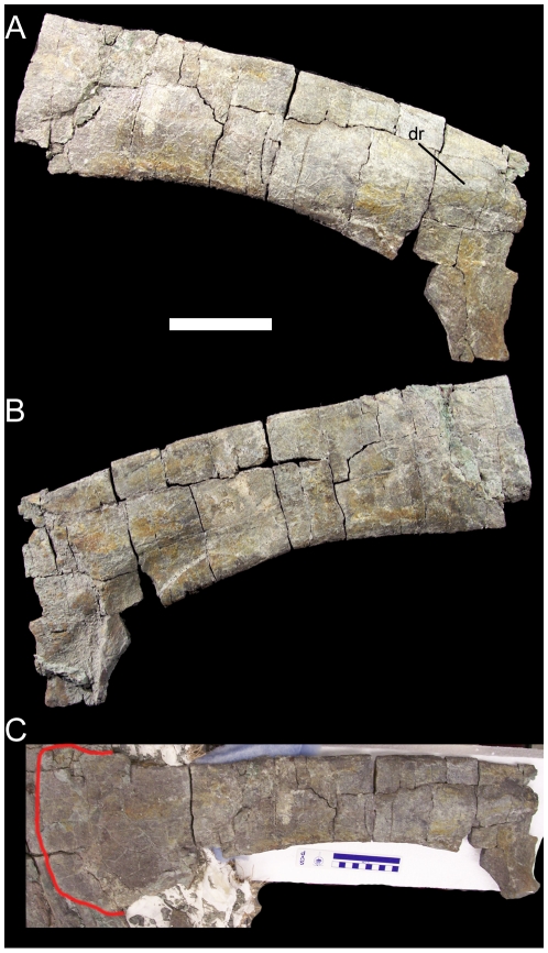 Figure 13