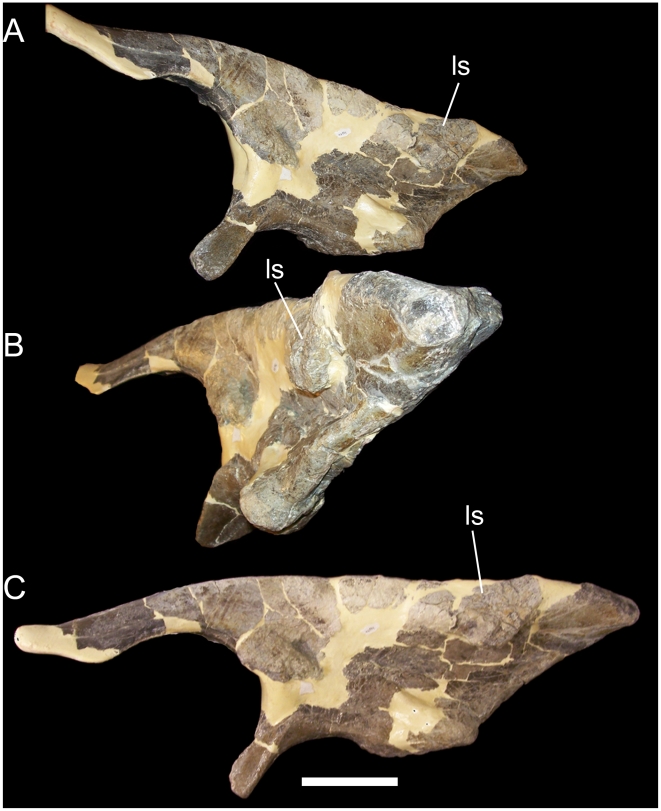 Figure 18