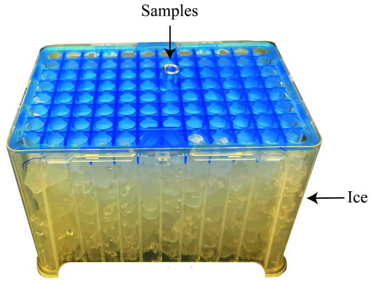 Figure 3.