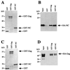 FIG. 6