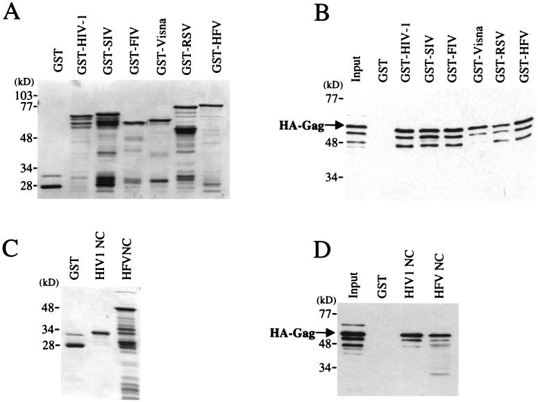 FIG. 9