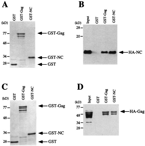 FIG. 6