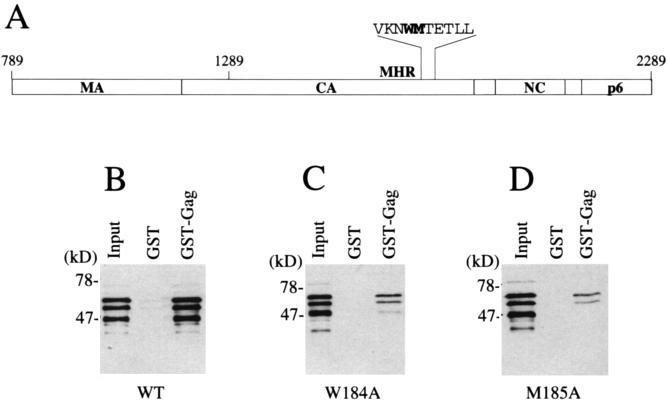 FIG. 4