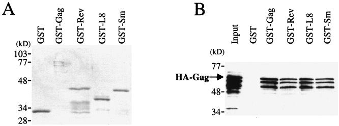 FIG. 10