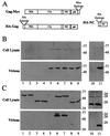 FIG. 7