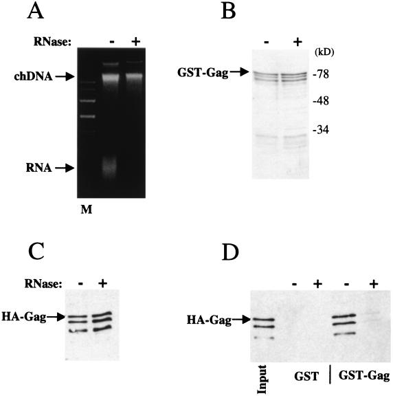 FIG. 8