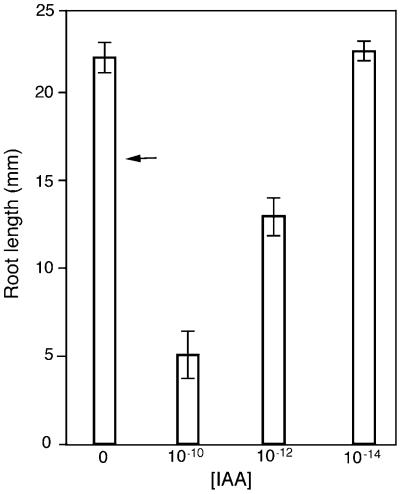 Figure 5.