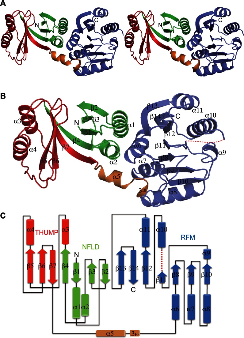 Figure 1.