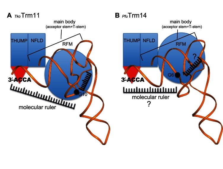 Figure 7.