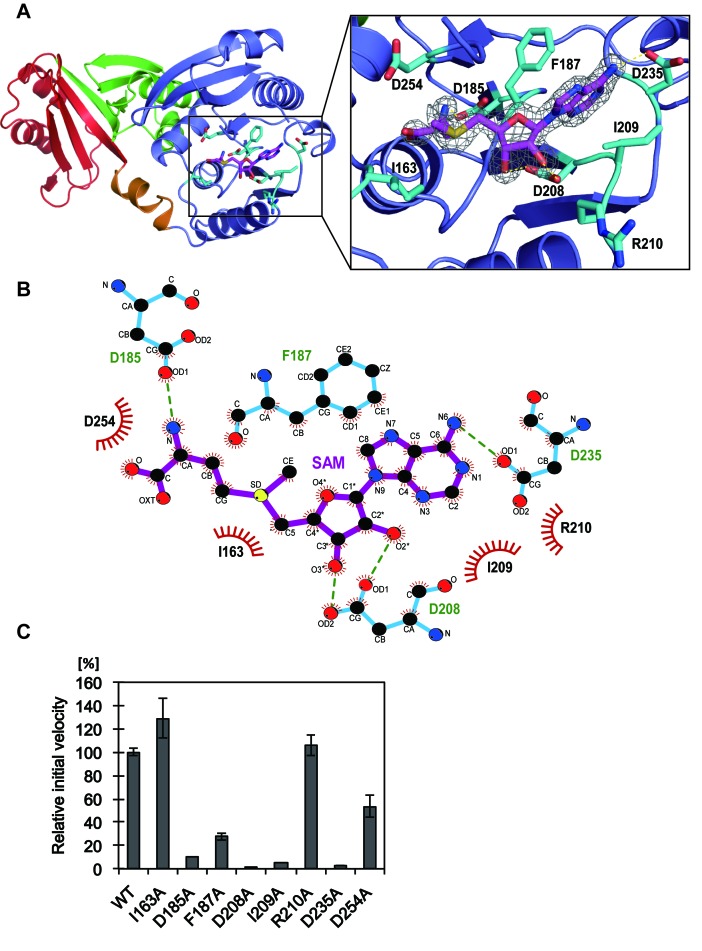 Figure 3.