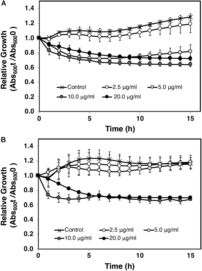 FIGURE 2