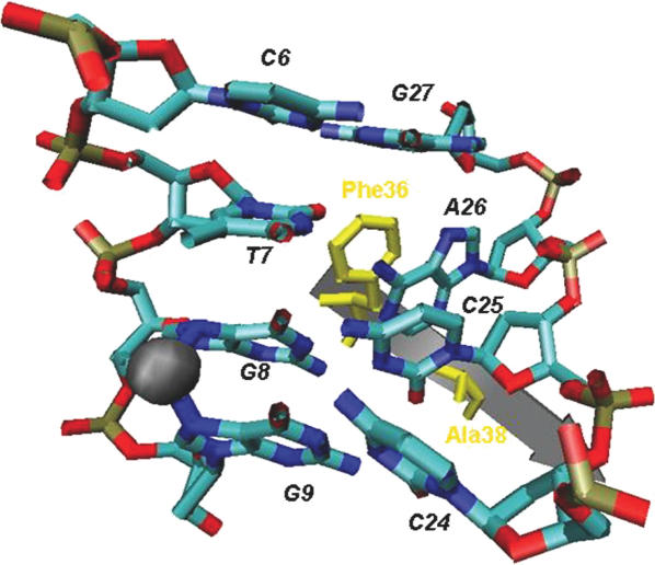 Figure 4