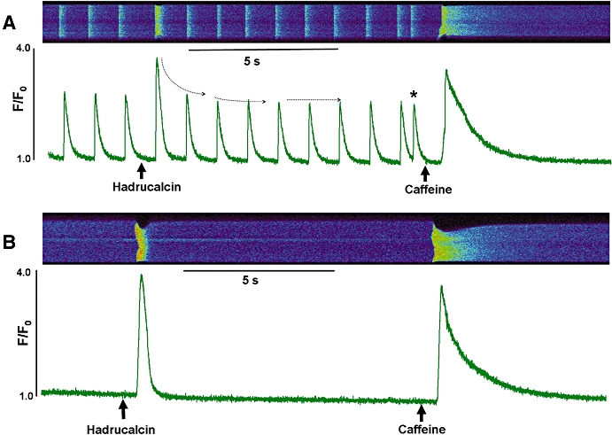 Figure 8