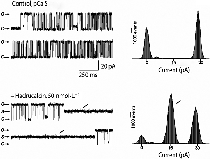 Figure 7