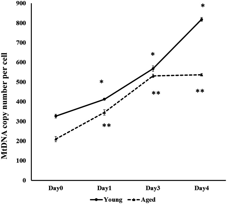 Fig. 2.