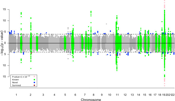 Fig. 1