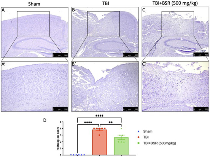 FIGURE 3