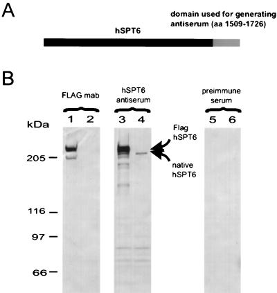 FIG. 5