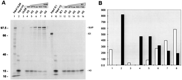 FIG. 11