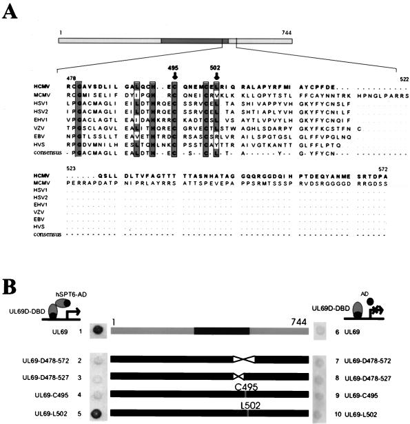 FIG. 8