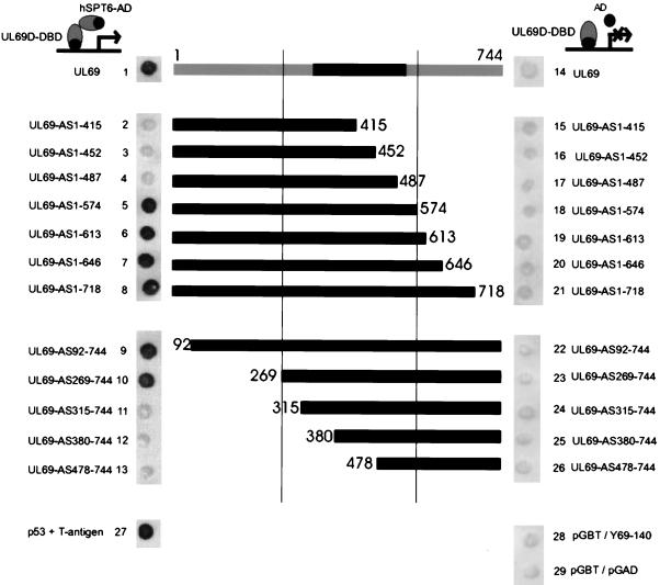 FIG. 7