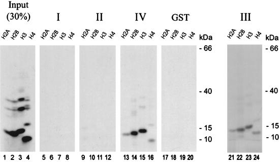 FIG. 10