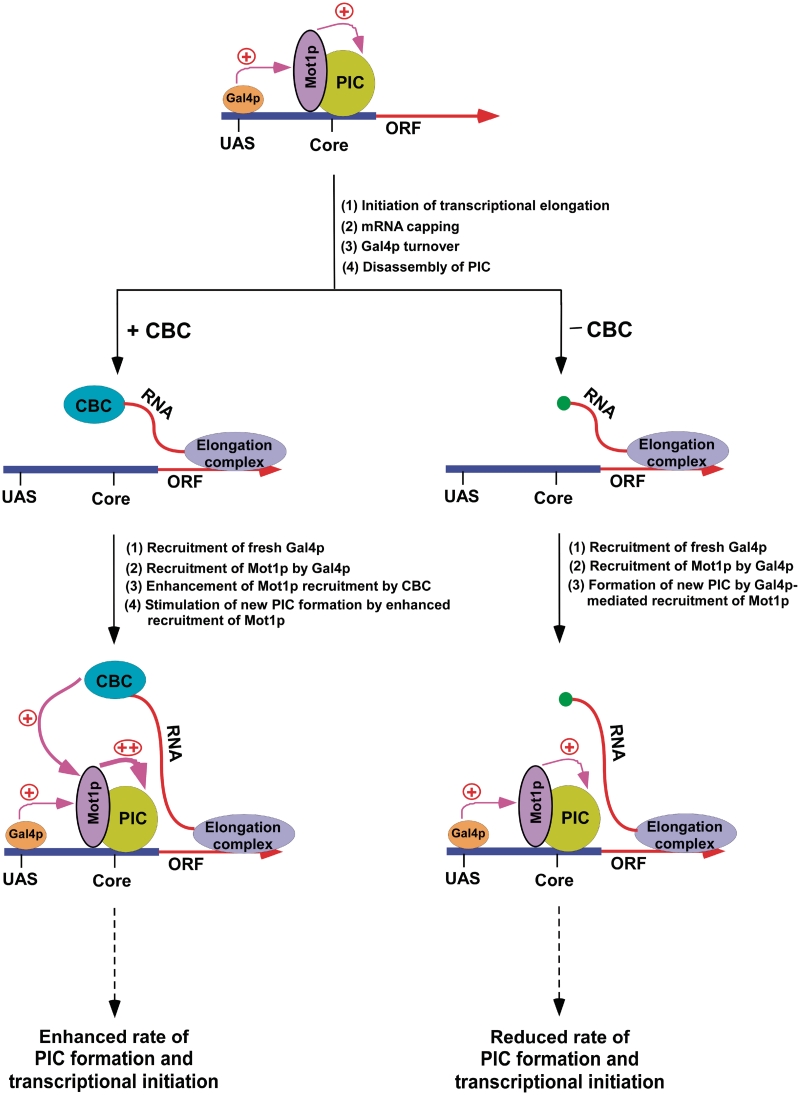 Figure 10.