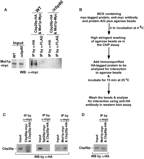 Figure 6.