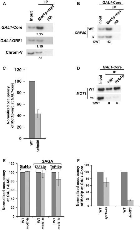 Figure 7.