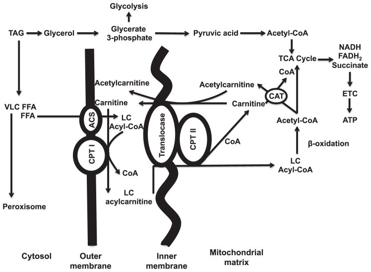 FIG. 7