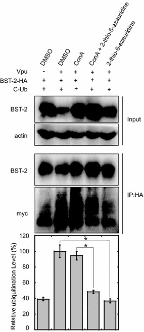 Fig. 8