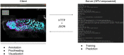 Figure 1—figure supplement 1.
