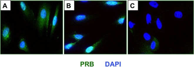 Figure 10.