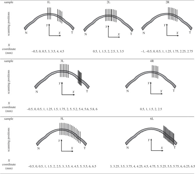 Figure 3.