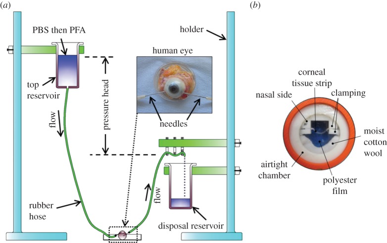 Figure 1.