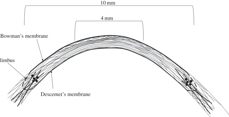 Figure 12.