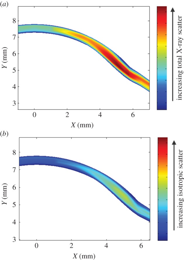 Figure 11.