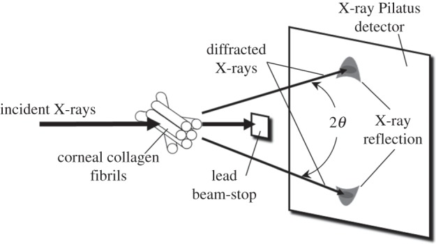 Figure 2.