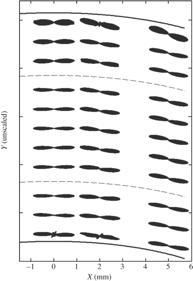 Figure 7.