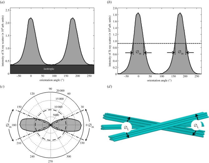 Figure 5.