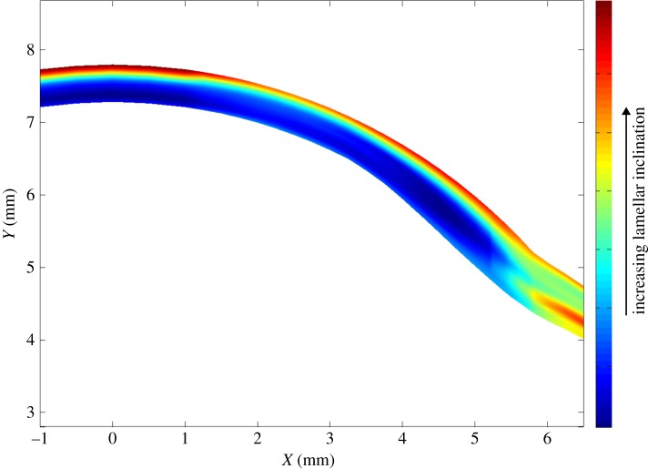 Figure 9.