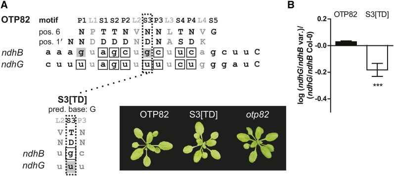 Figure 12.