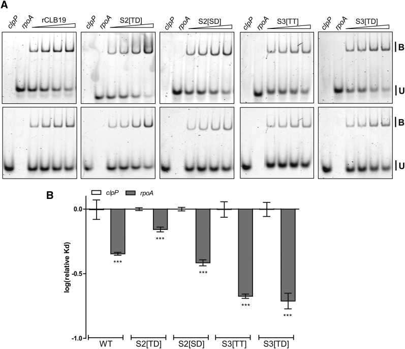 Figure 10.