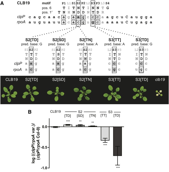 Figure 11.