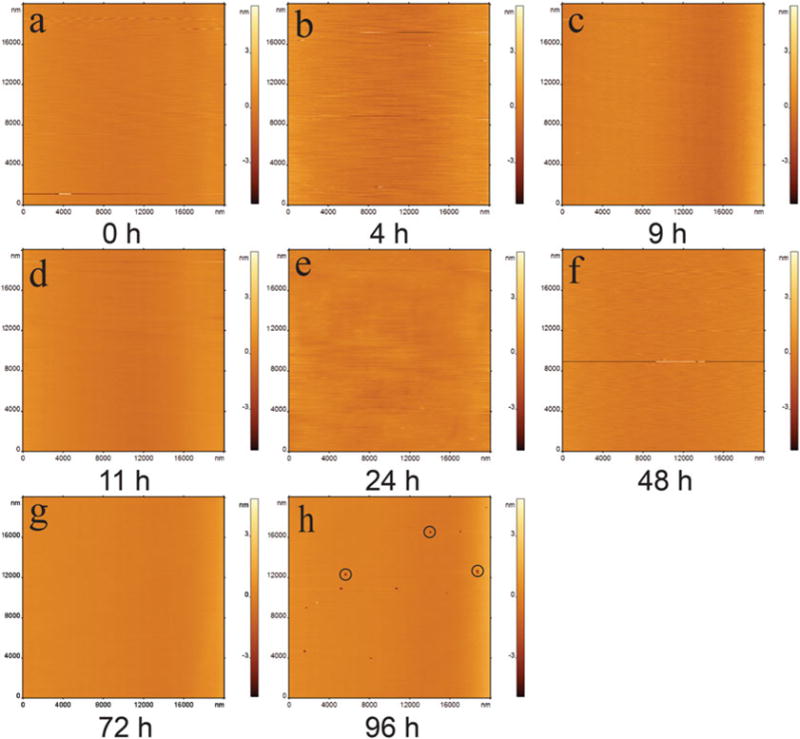 Fig. 7