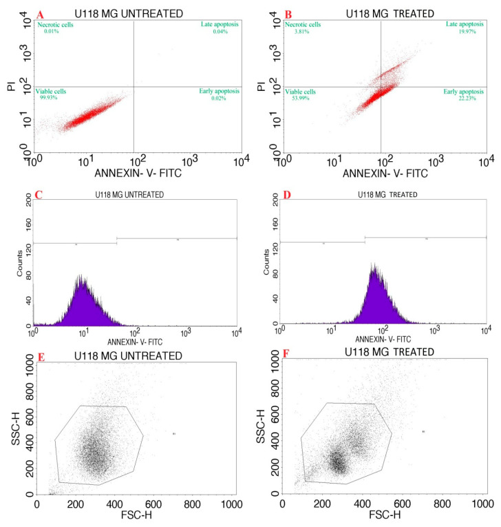 Figure 13