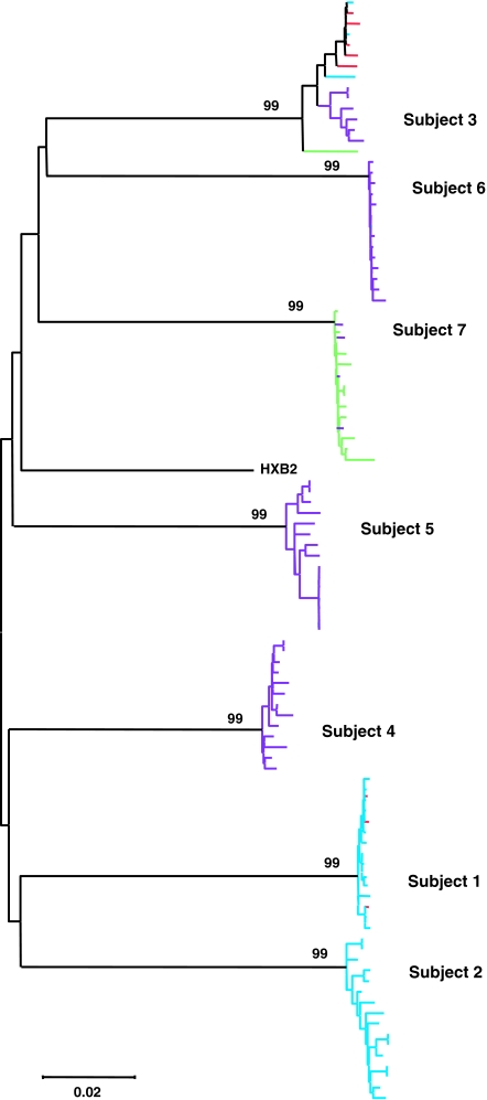 FIG. 2.