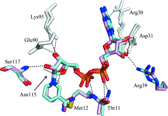 Figure 4